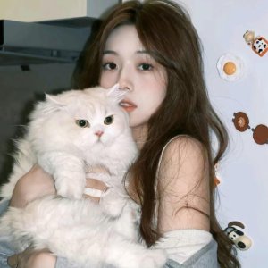 小喵