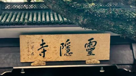 阴天环境中性色自然对比