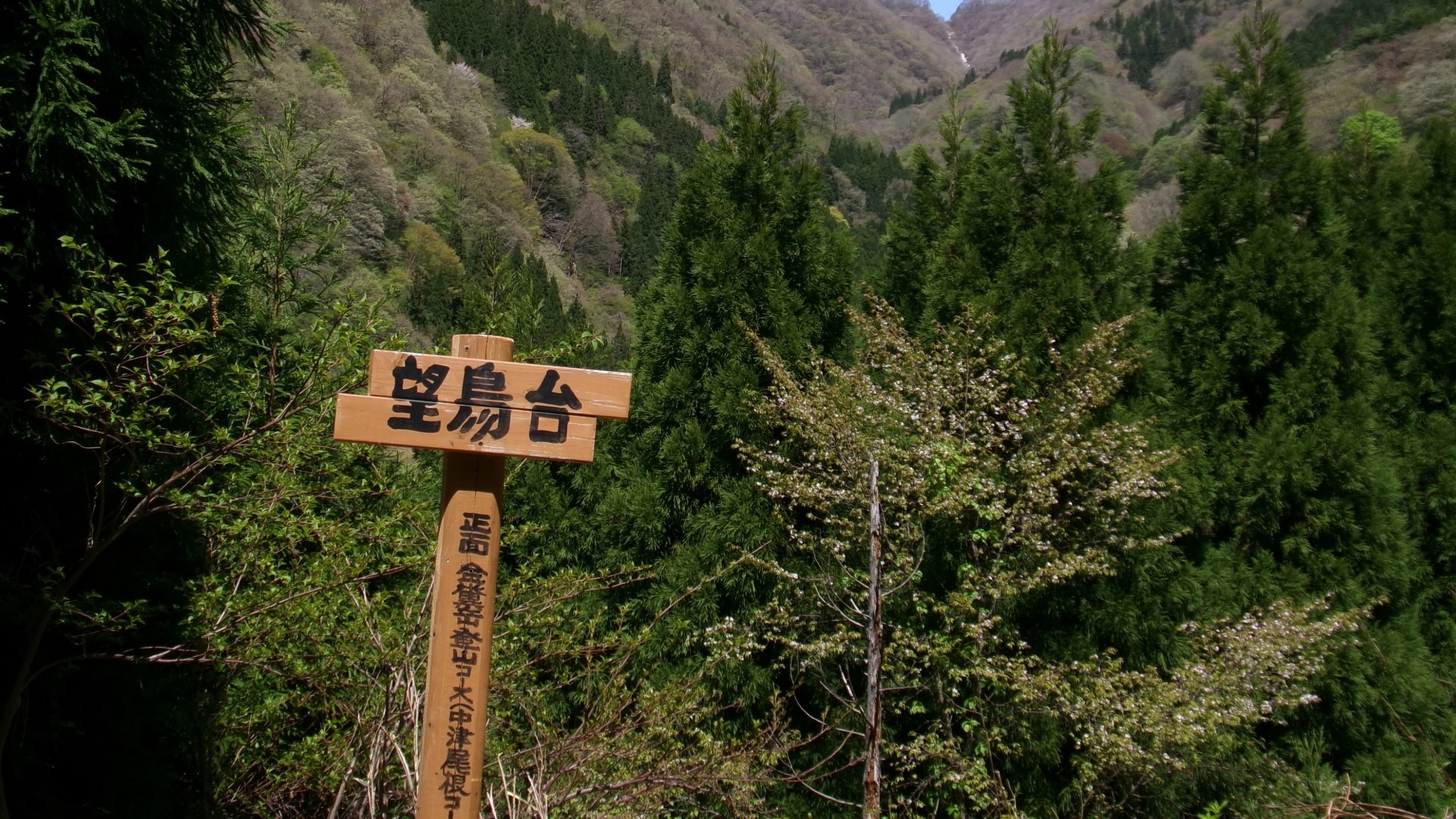 原始预览