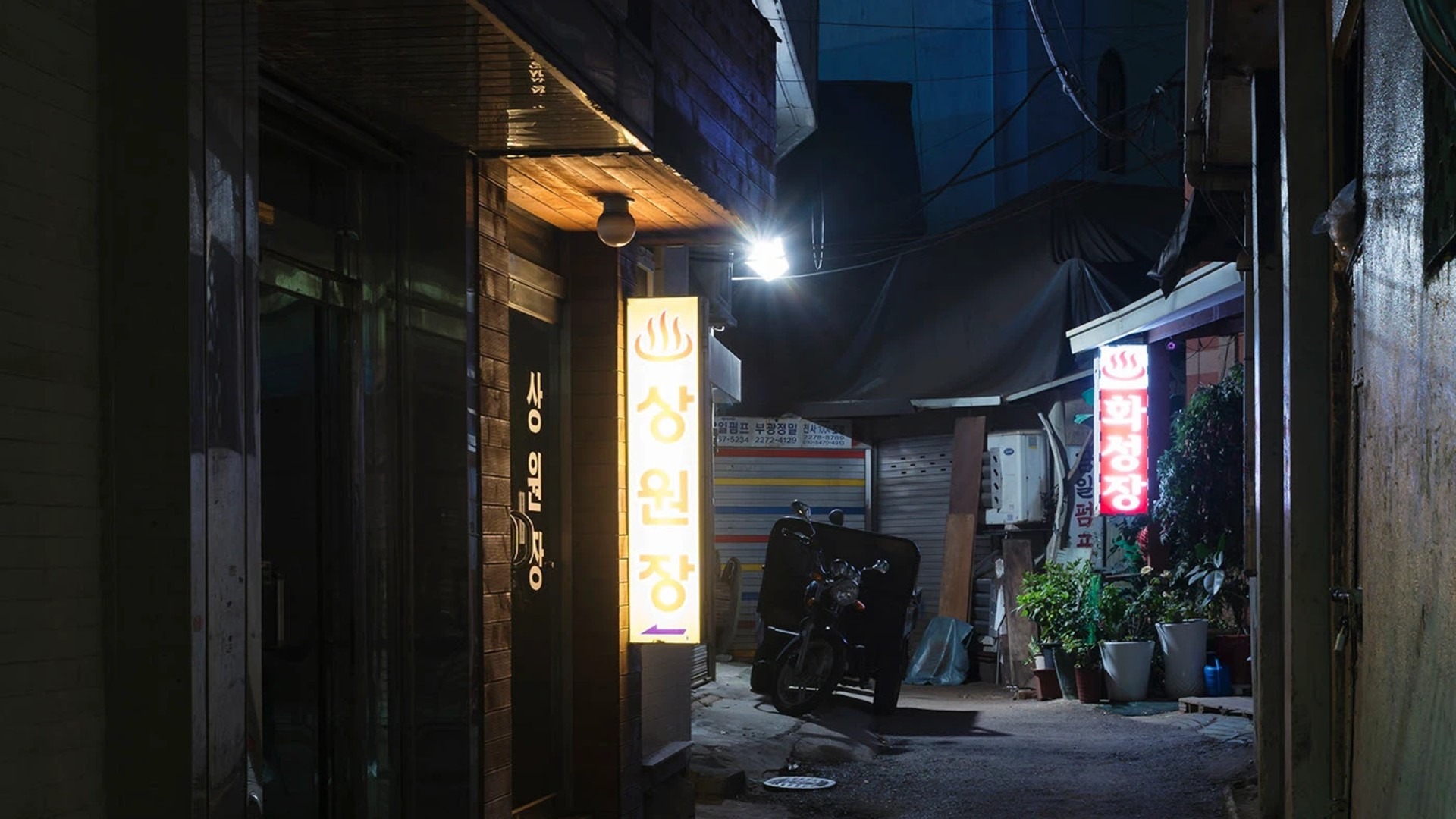 原始预览