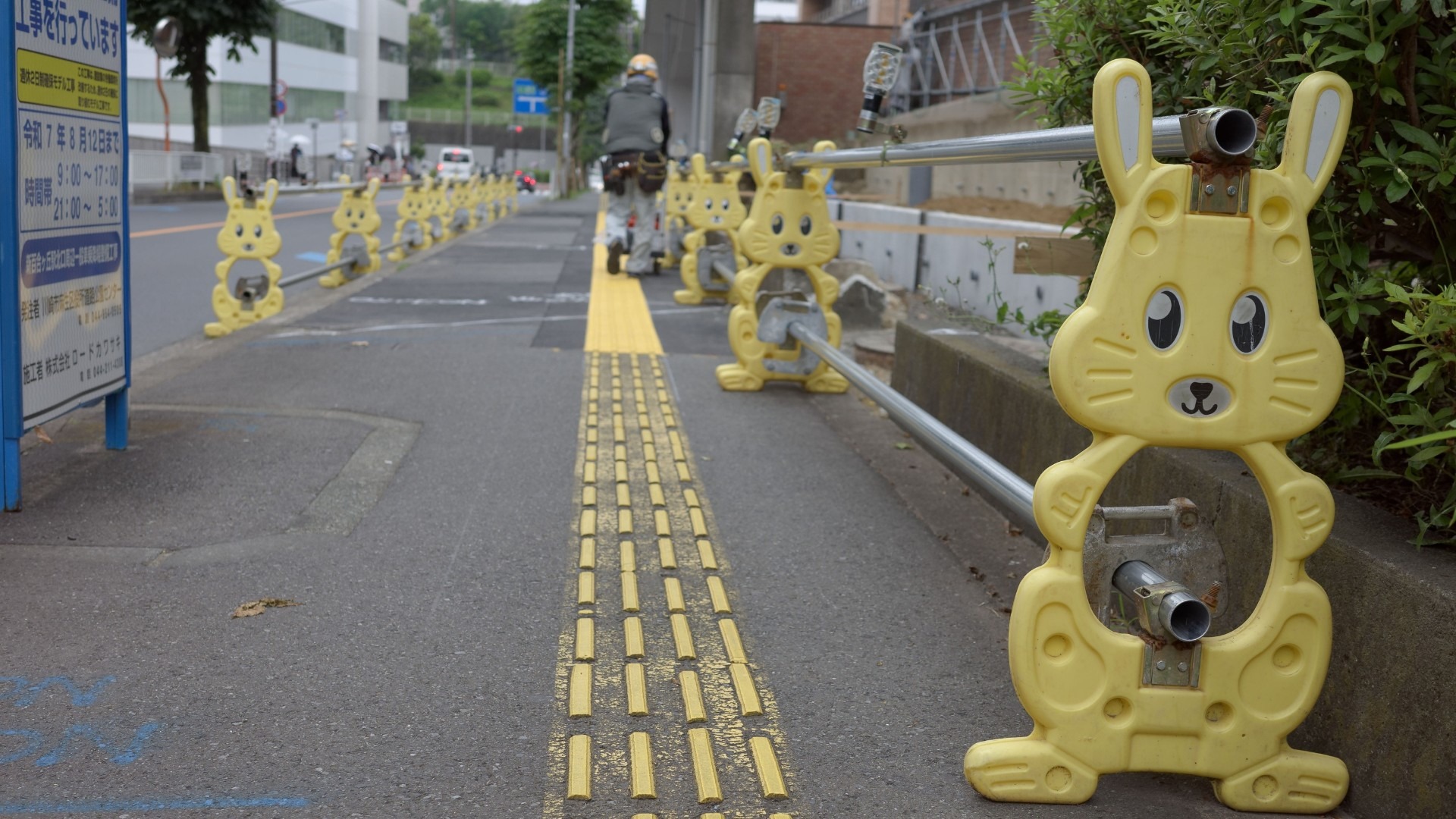 原始预览