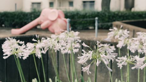 拆弹部队沙尘光