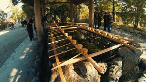 暖金复古旅行