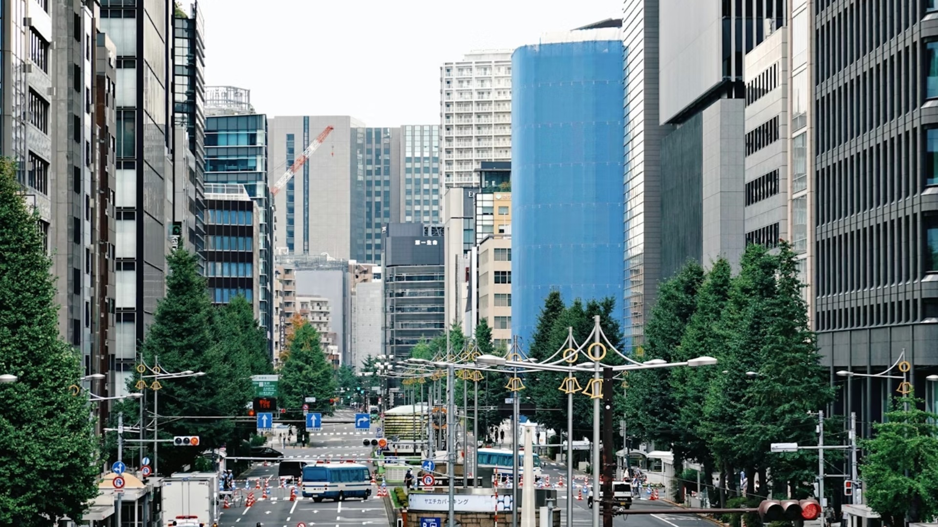 原始预览