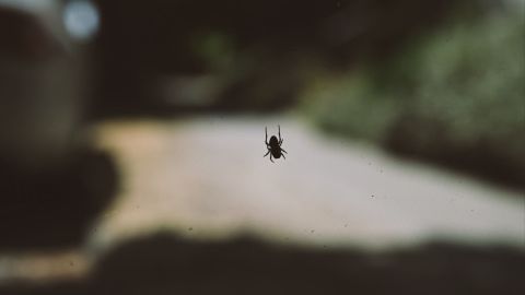 富士Fuji 800Z 3 +
