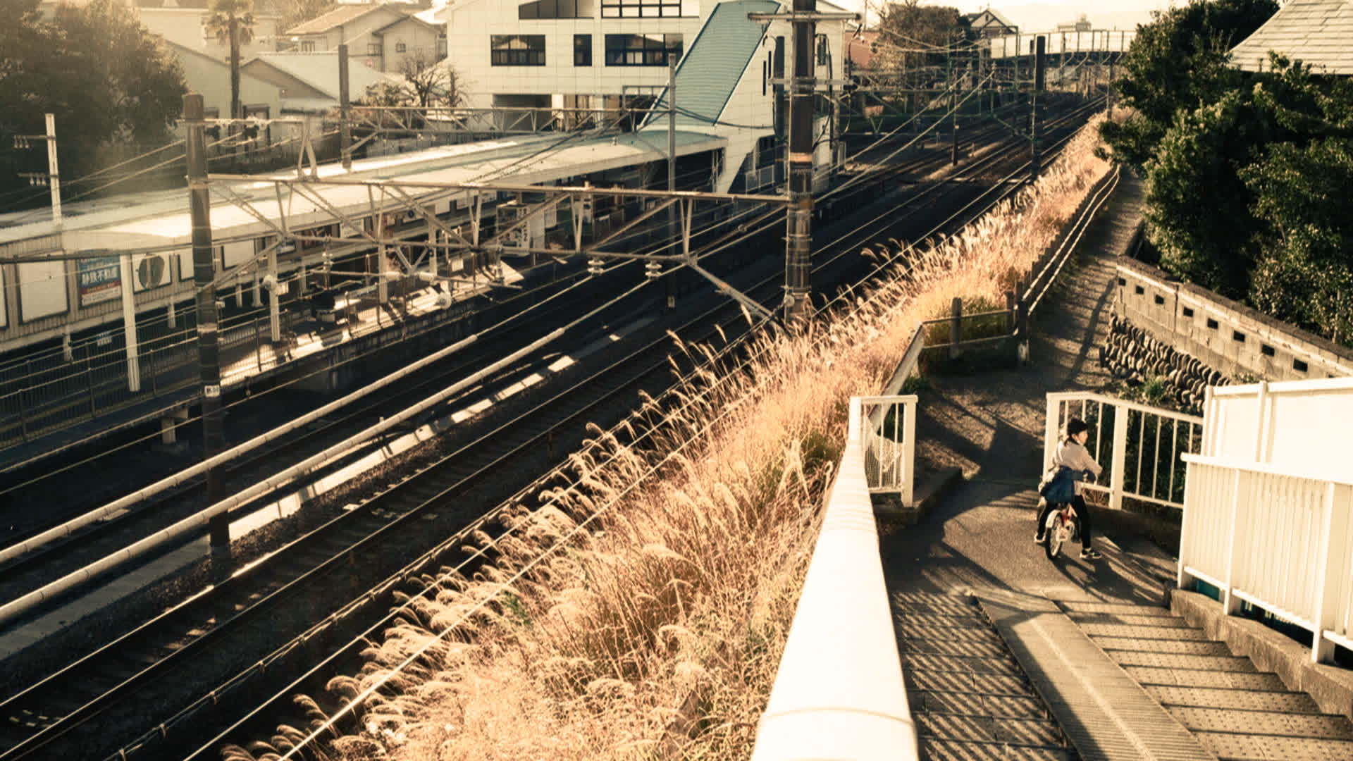 应用 LUT 后预览