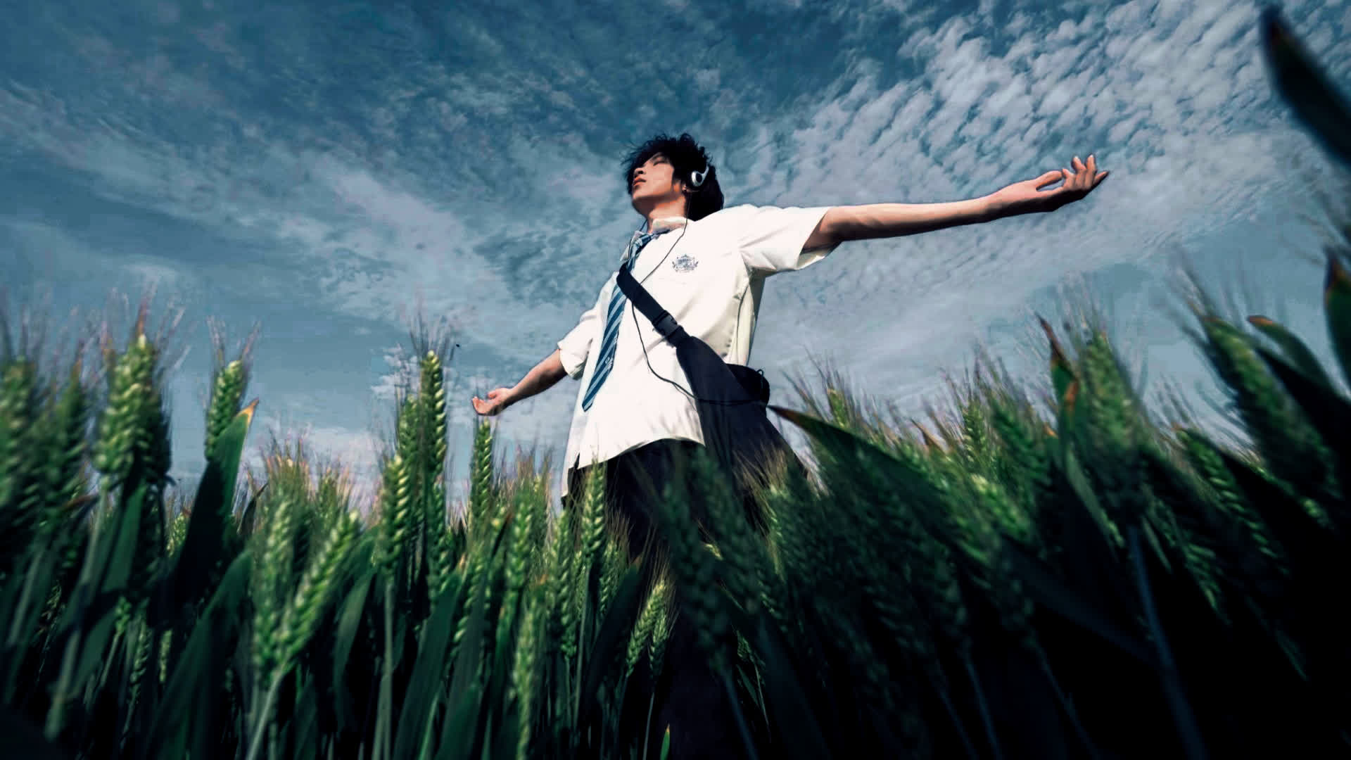 应用 LUT 后预览