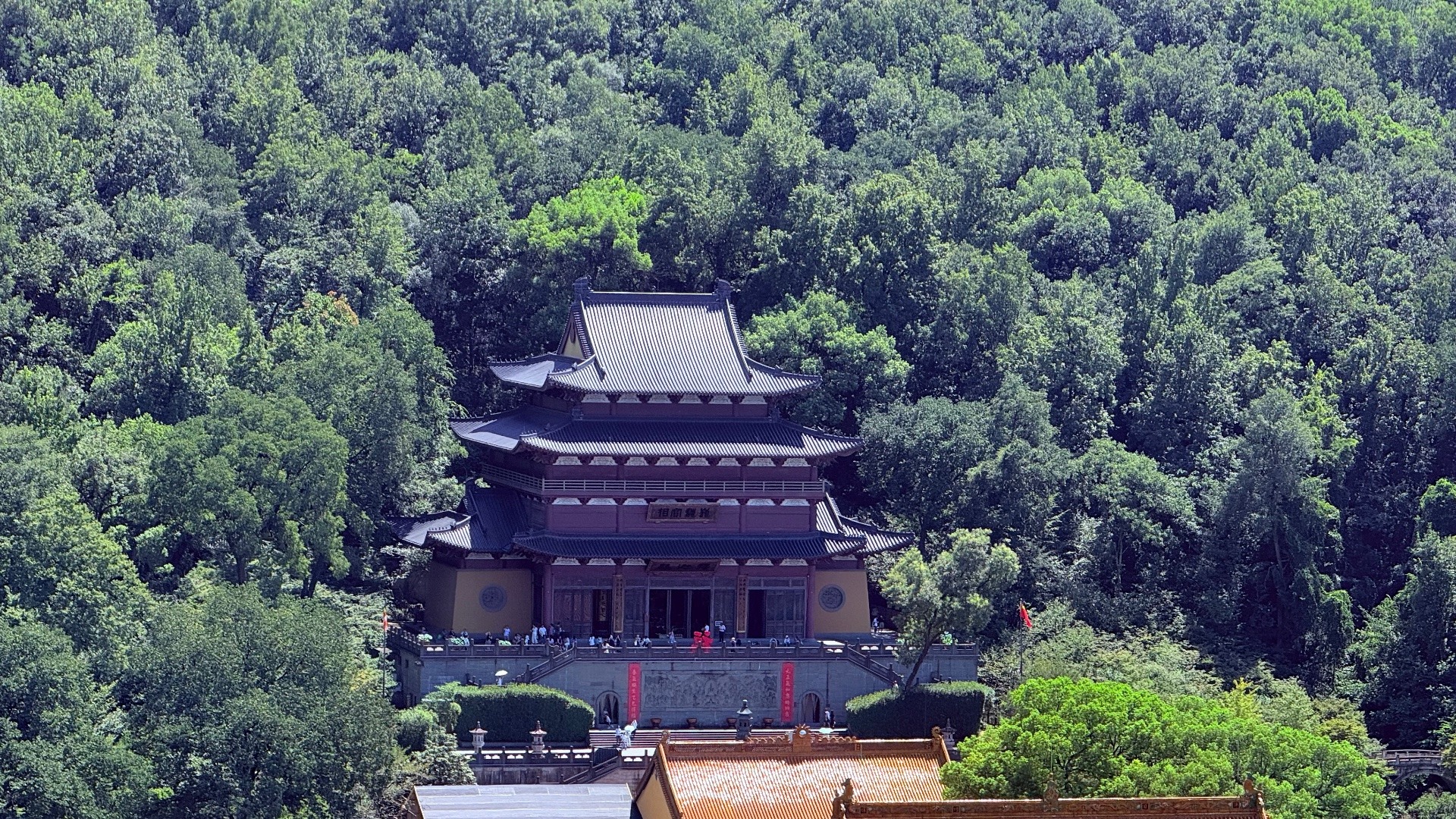 原始预览