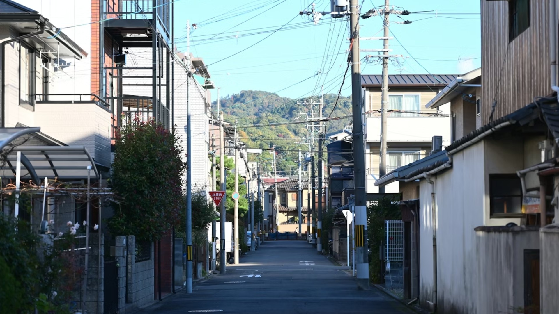原始预览