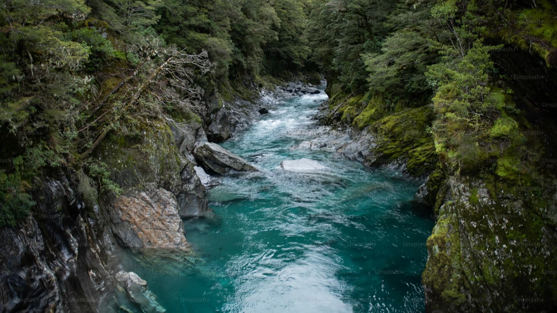 原始预览