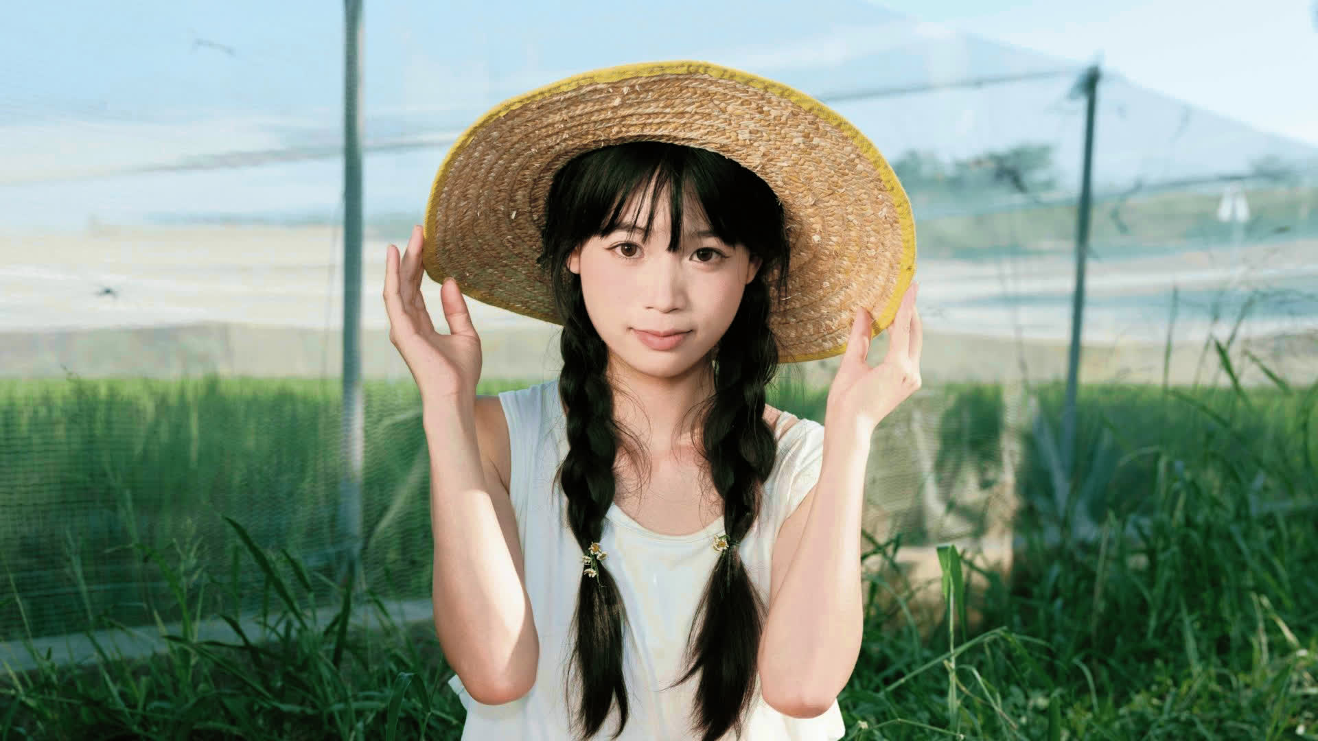 应用 LUT 后预览