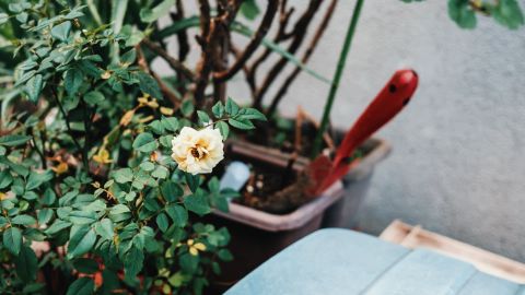 90年代夏日感