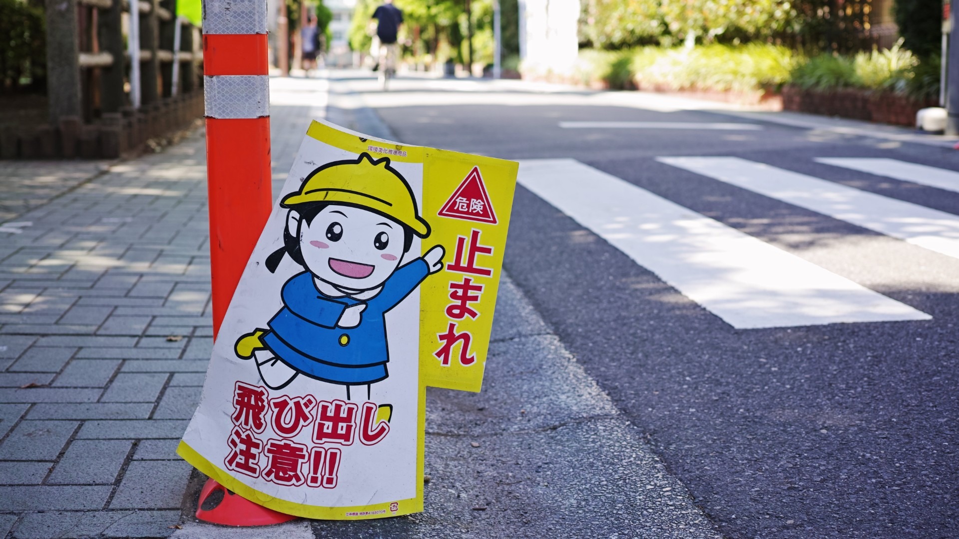 原始预览