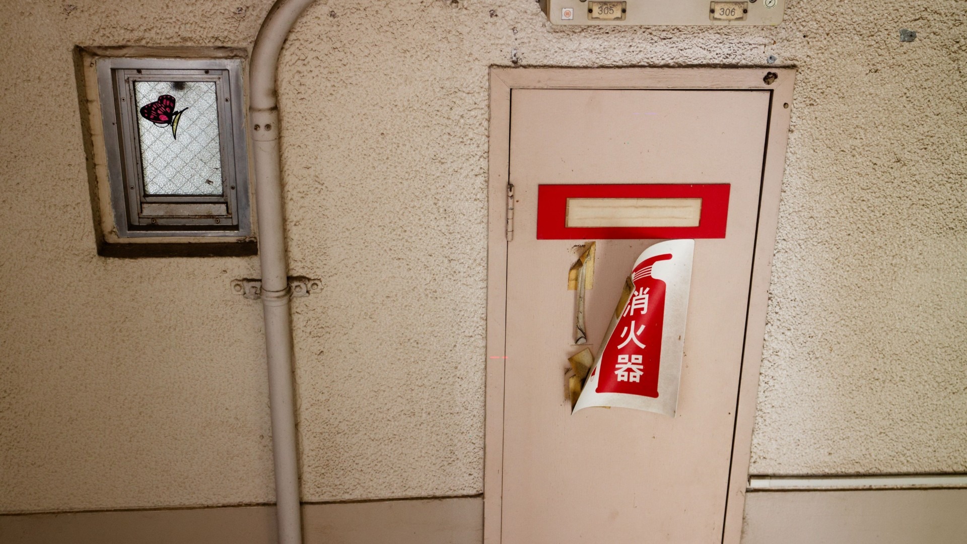 原始预览