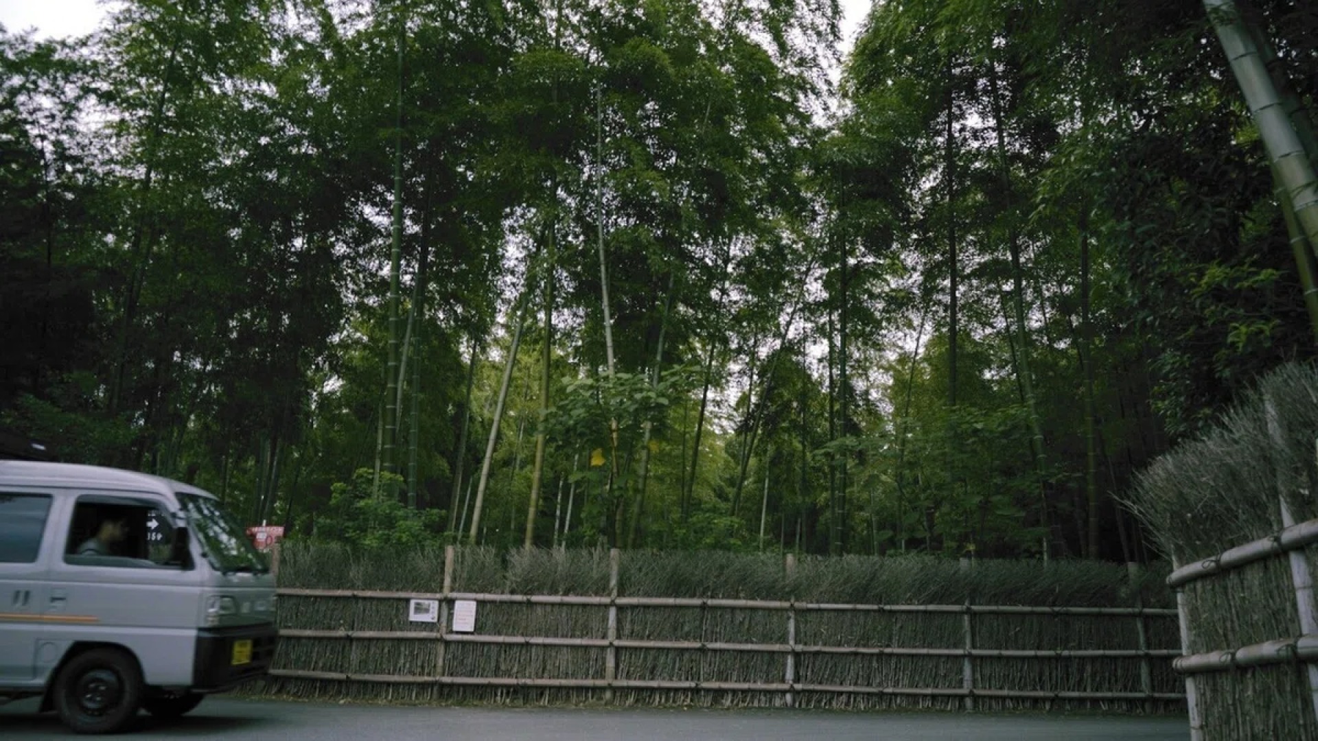 原始预览