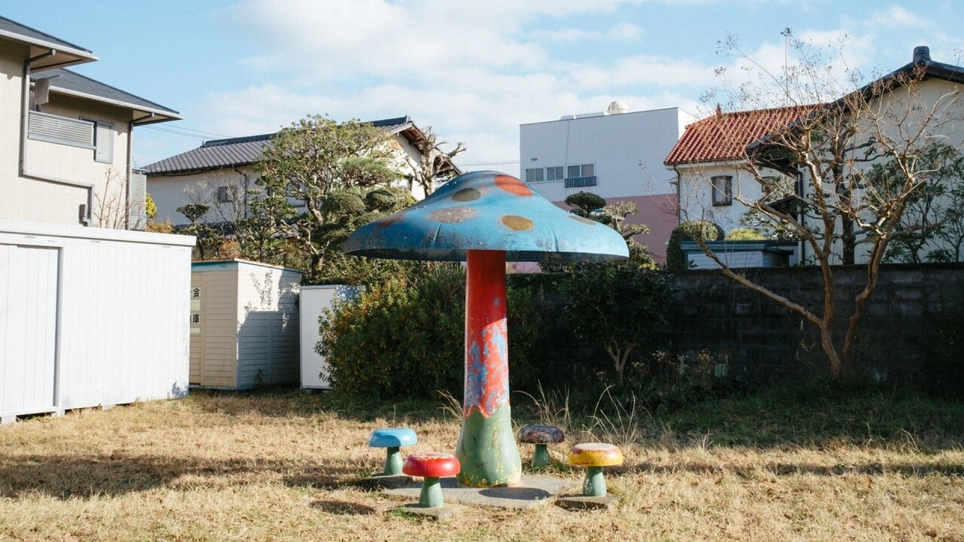 原始预览