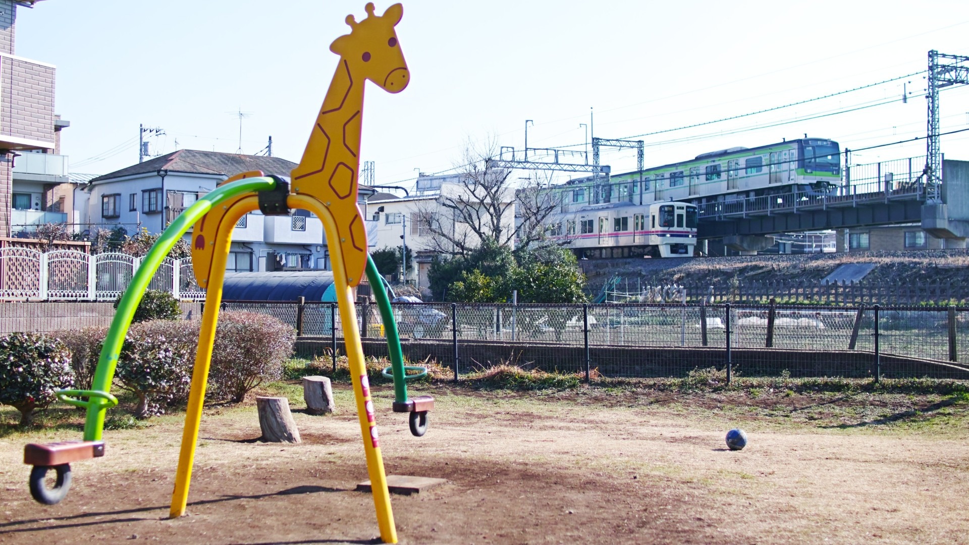 原始预览