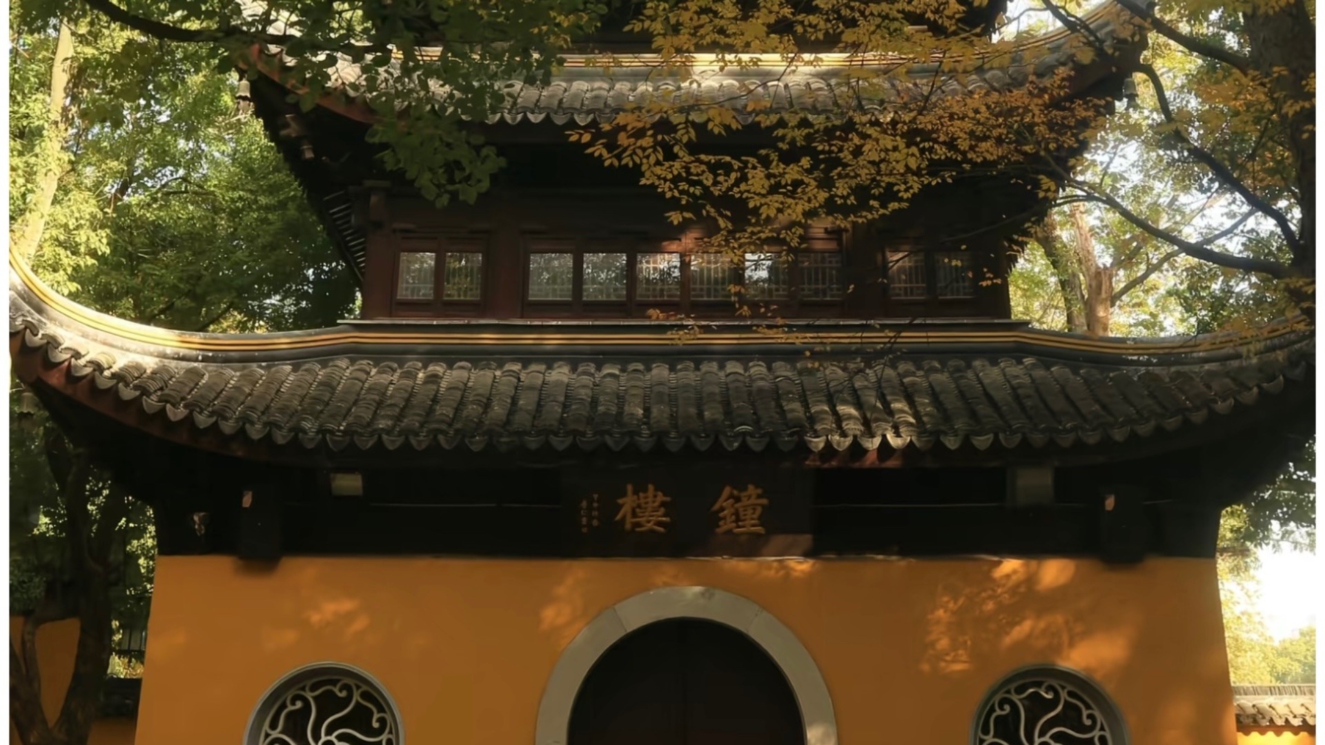 原始预览