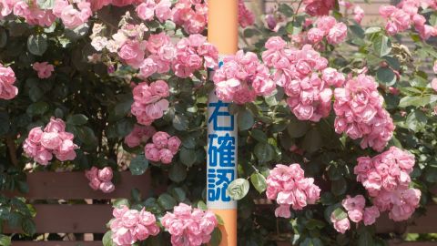 柯达2383标准电影