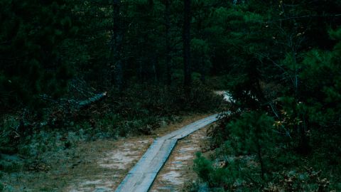 Portra 400 b